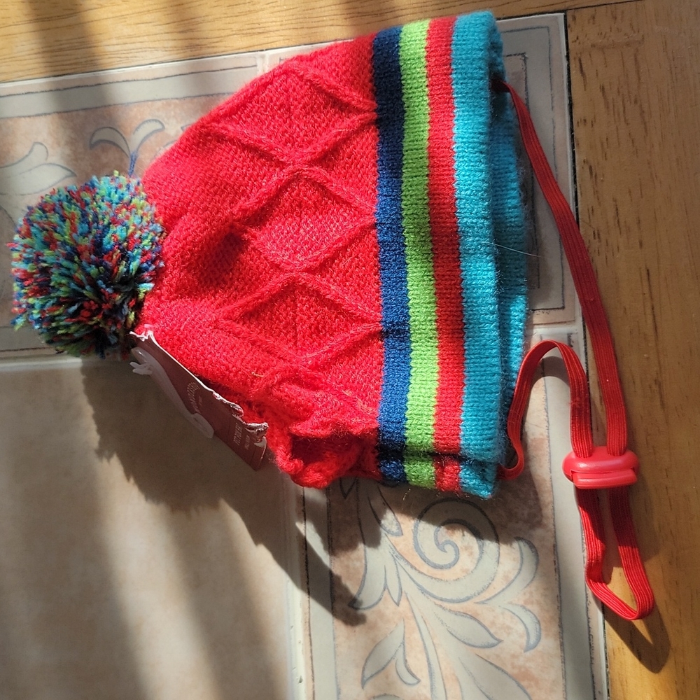 Dog hat with ear cut outs